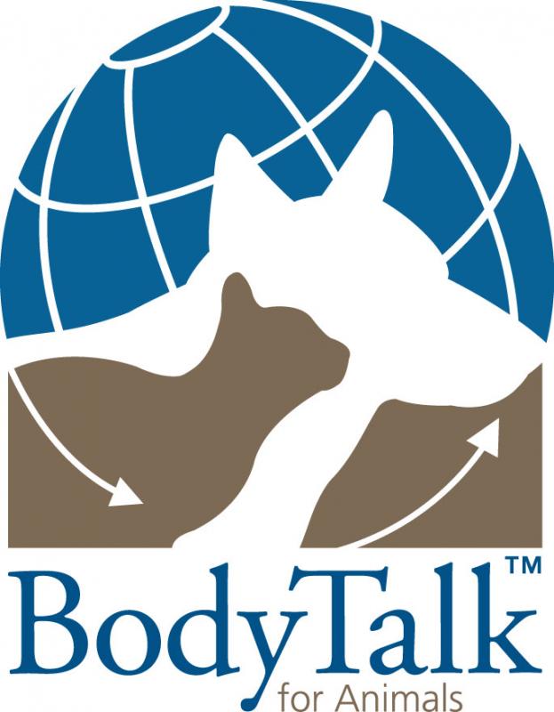 BodyTalk for Animals Cape Town 